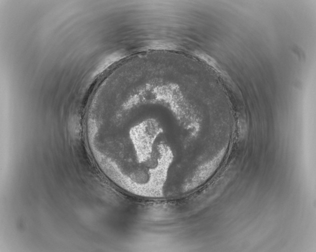 X0000115161266200911101742