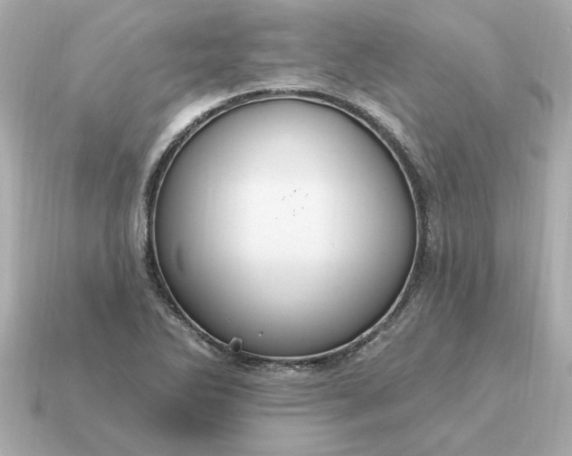 X0000115161270200911101742