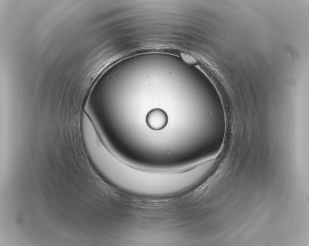 X0000115161273200911101742