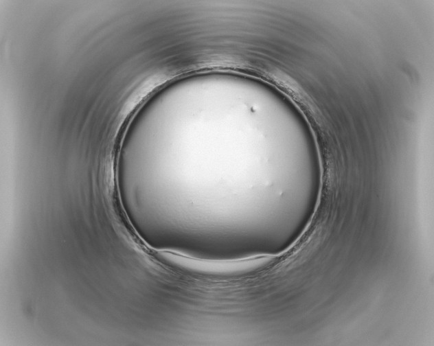 X0000115161274200911101742