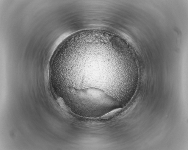 X0000115161275200911101742