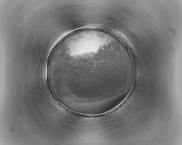 X0000115161276200911101742