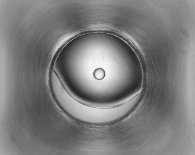 X0000115161277200911101742