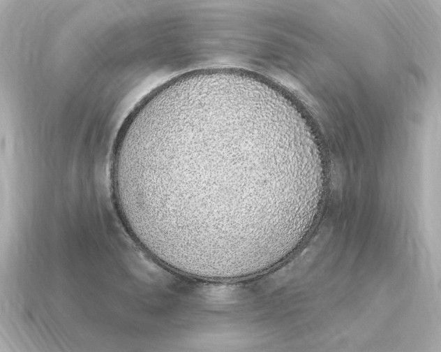 X0000115161278200911101742