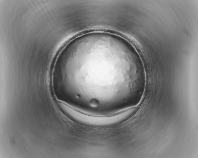 X0000115161279200911101742