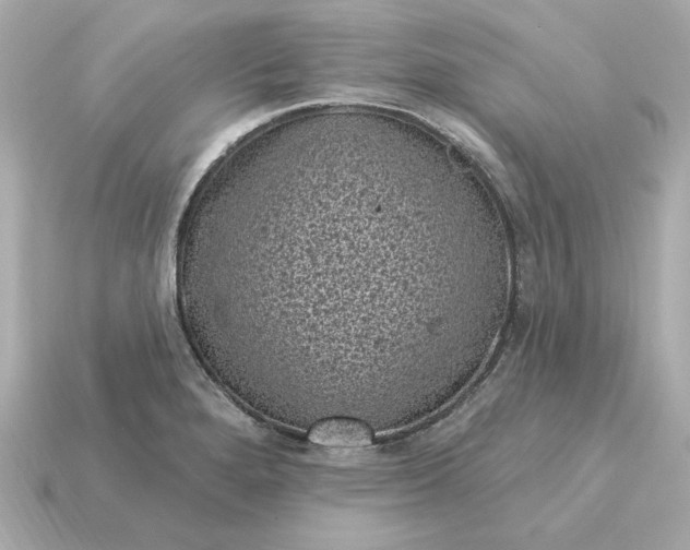 X0000115161280200911101742