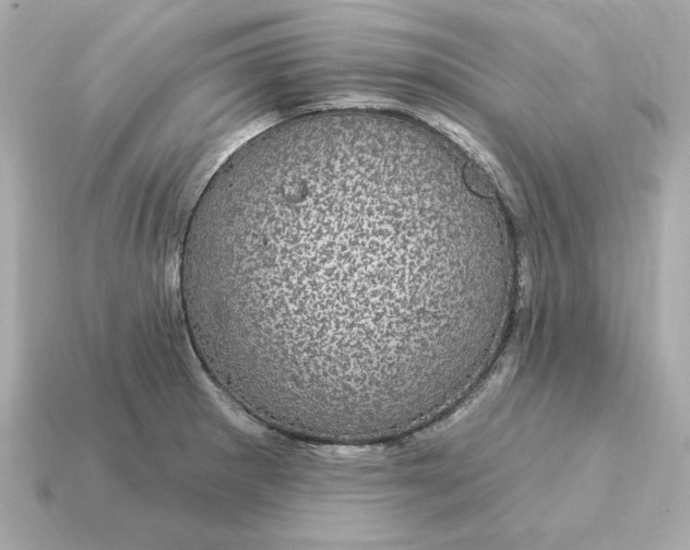 X0000115161281200911101742
