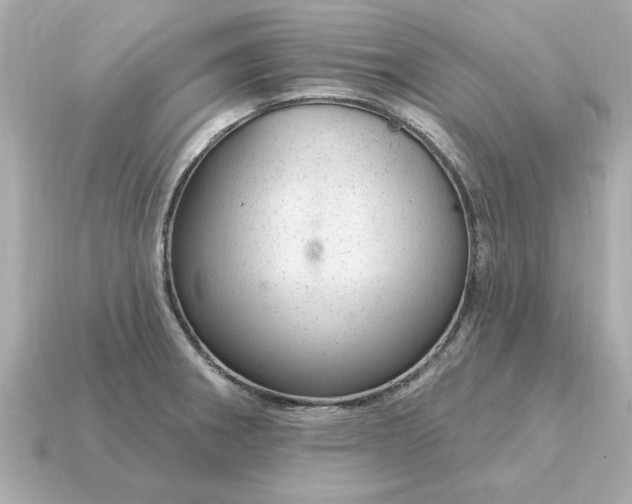 X0000115161282200911101742
