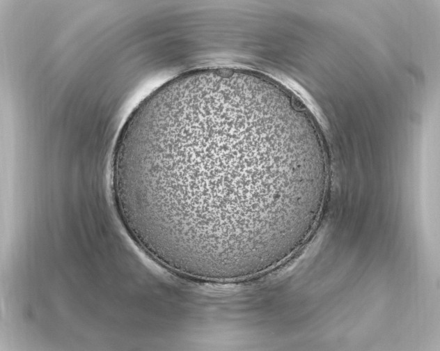 X0000115161285200911101742