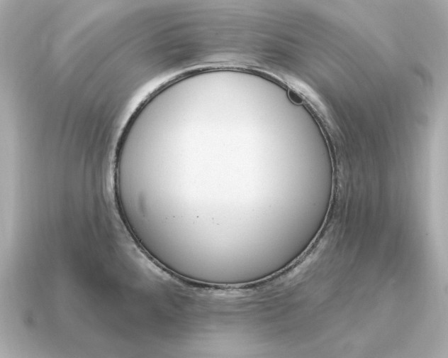 X0000115161288200911101742