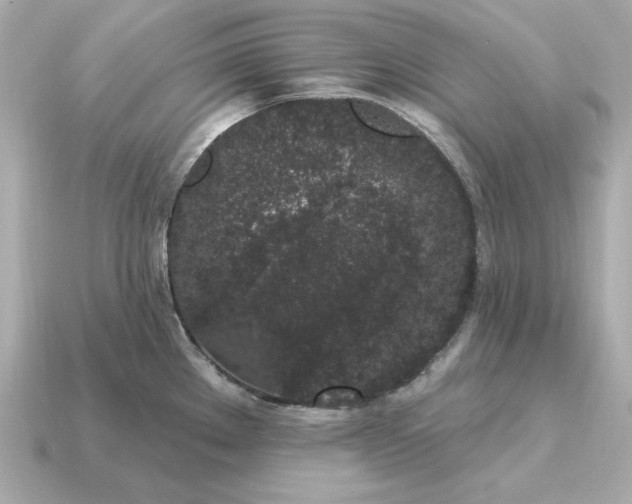 X0000115161289200911101742