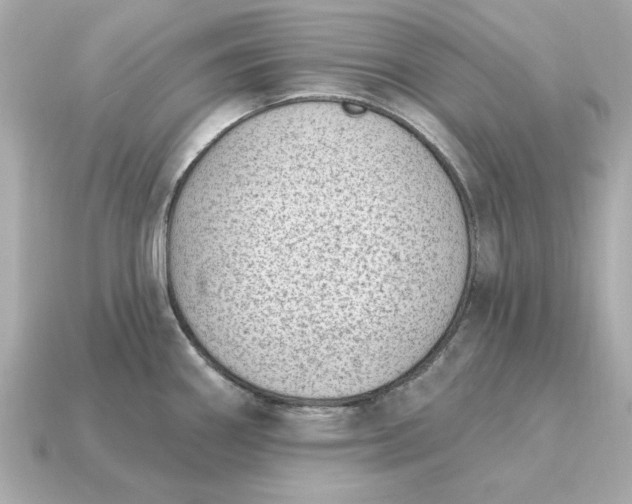 X0000115161290200911101742