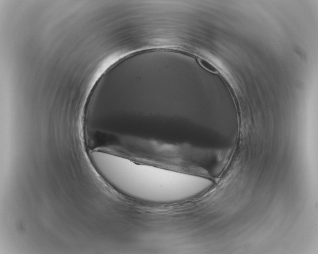 X0000115161291200911101742