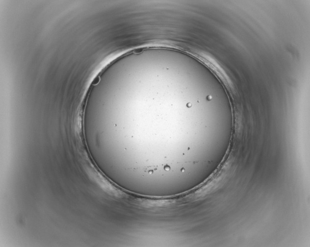 X0000115161292200911101742