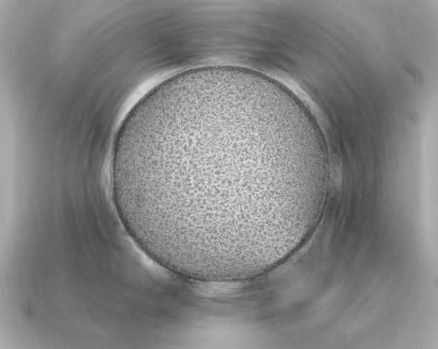 X0000115161294200911101742