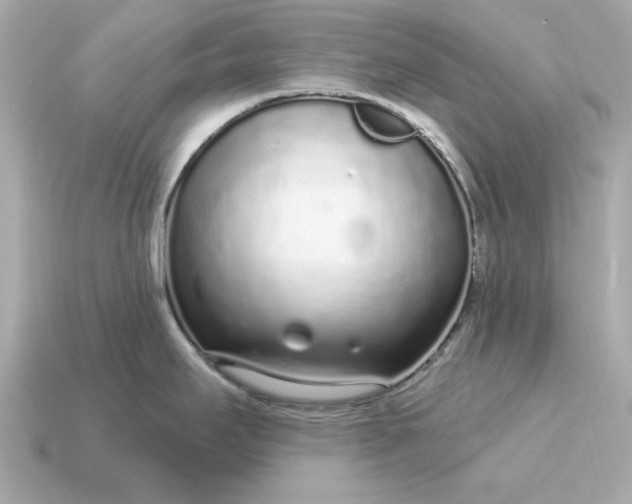 X0000115161295200911101742