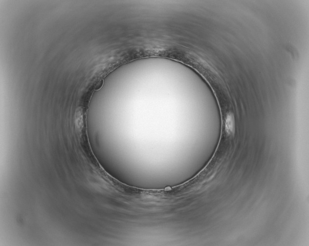 X0000115161299200911101741