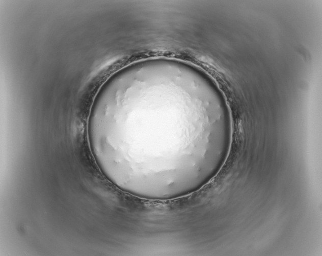 X0000115161302200911101741
