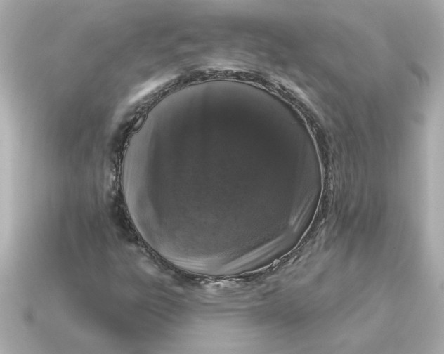 X0000115161303200911101741