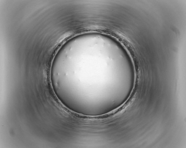 X0000115161305200911101741