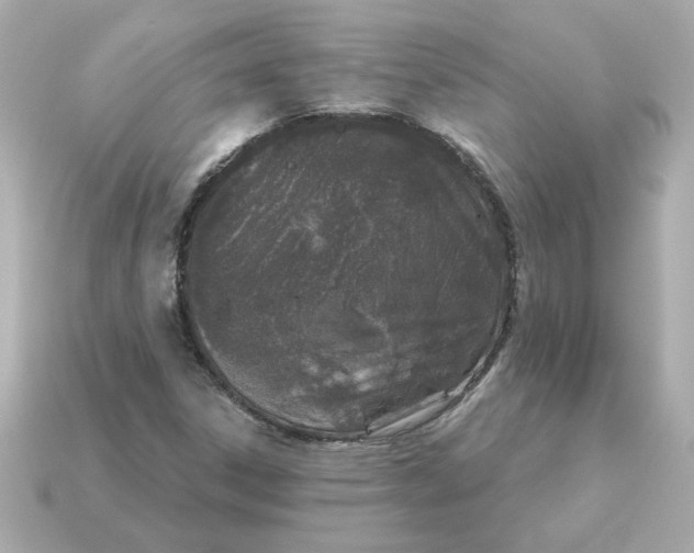 X0000115161306200911101741