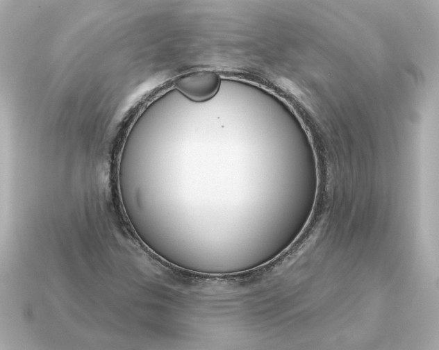 X0000115161307200911101741