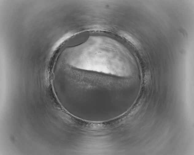 X0000115161310200911101741