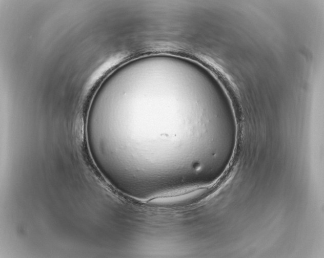 X0000115161317200911101742