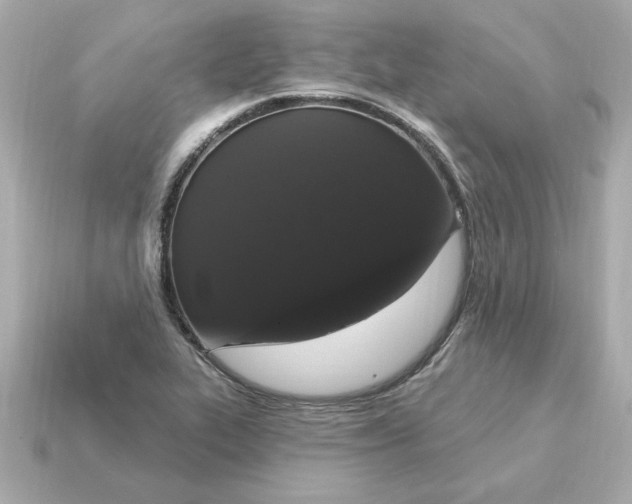 X0000115161319200911101742