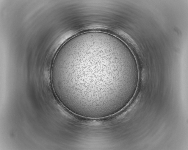 X0000115161321200911101742