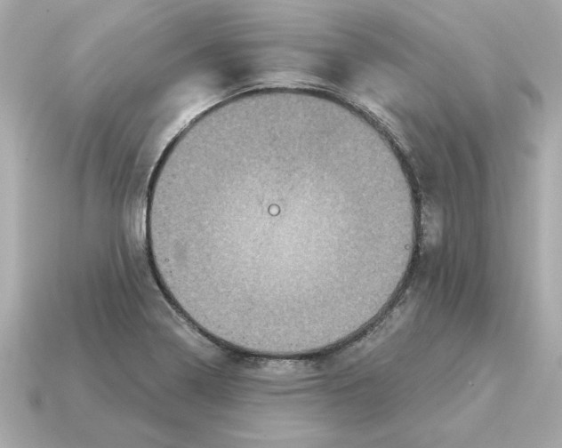 X0000115161322200911101742