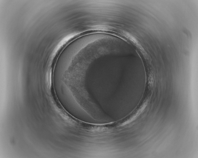 X0000115161323200911101742