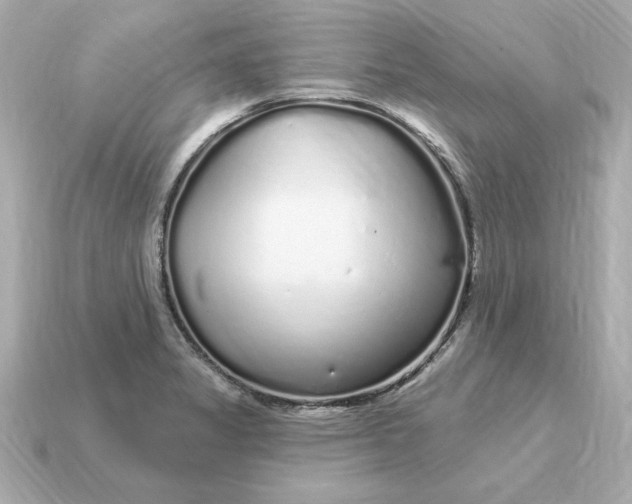 X0000115161325200911101742
