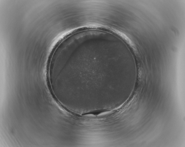 X0000115161327200911101742