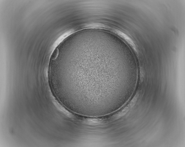 X0000115161330200911101742