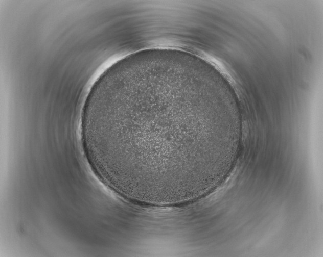 X0000115161331200911101742