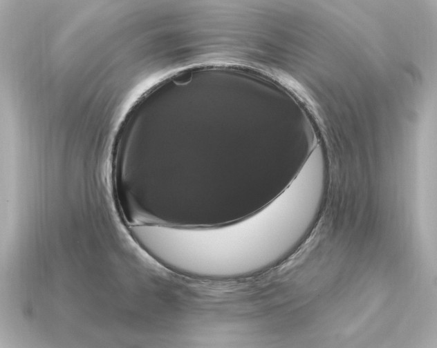 X0000115161334200911101742