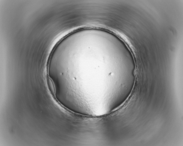 X0000115161335200911101742