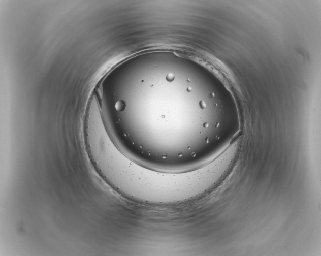 X0000115161338200911101742
