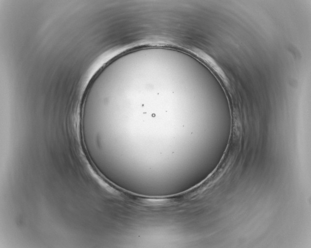 X0000115161343200911101742