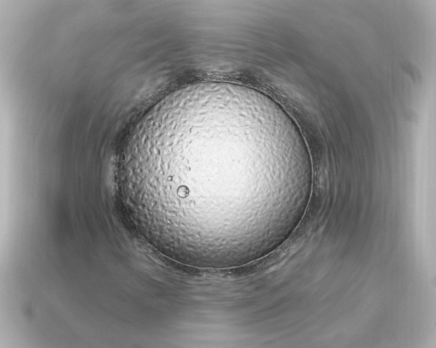 X0000115161346200911101741