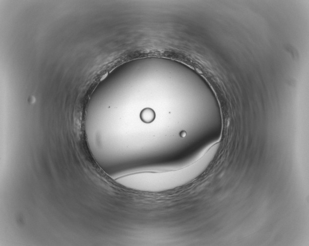 X0000115161348200911101741