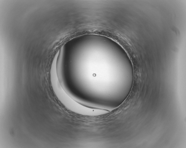 X0000115161349200911101741