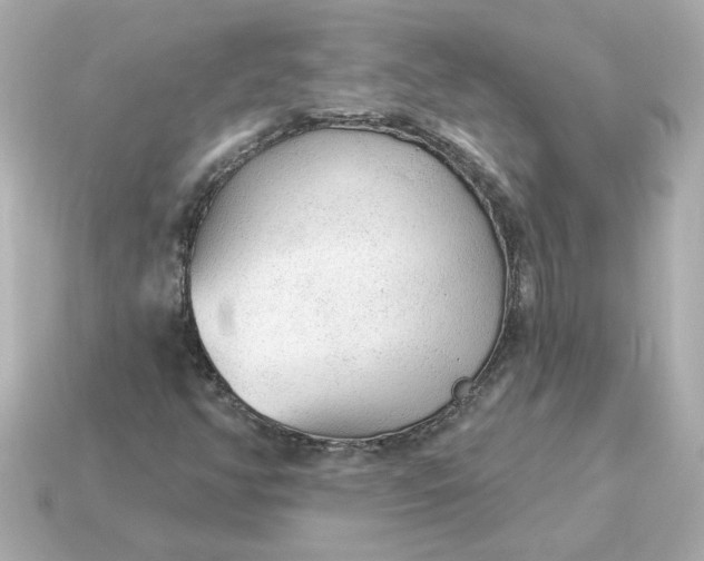 X0000115161350200911101741