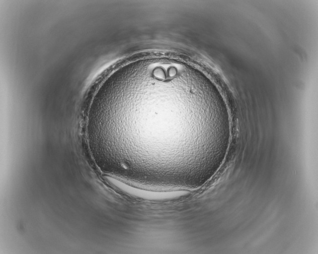 X0000115161352200911101741
