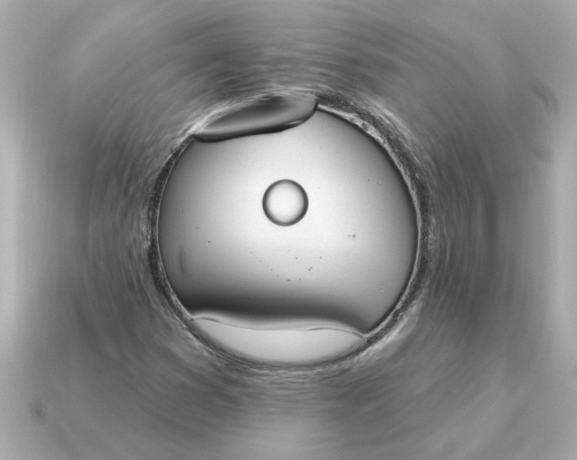 X0000115161353200911101741