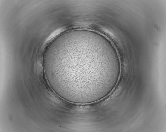 X0000115161354200911101741