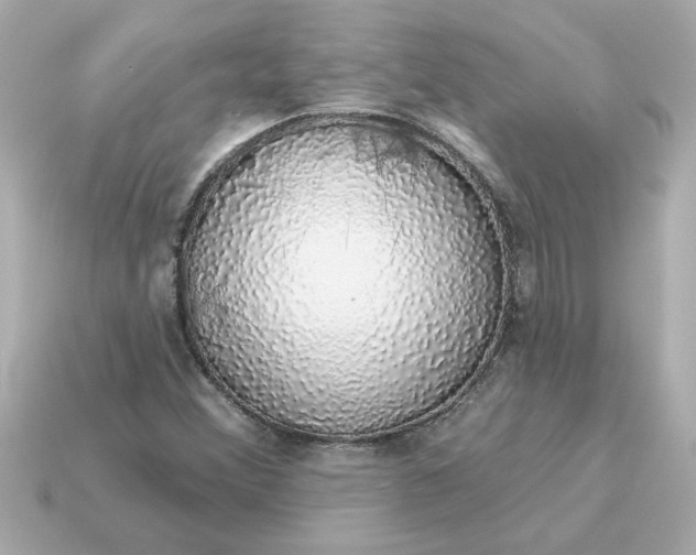 X0000115161356200911101741