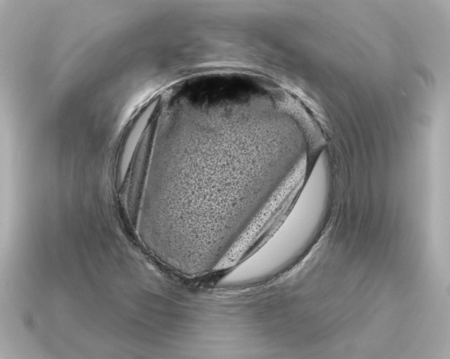 X0000115161357200911101741