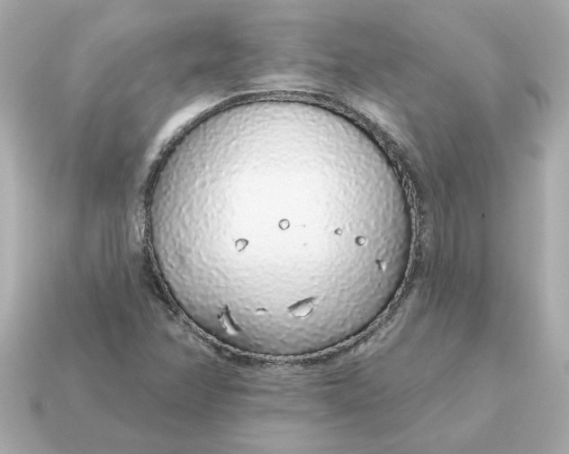 X0000115161358200911101741